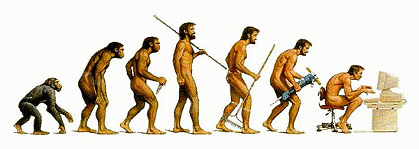 The seven stages of evolution... from early man through to computer geek...
