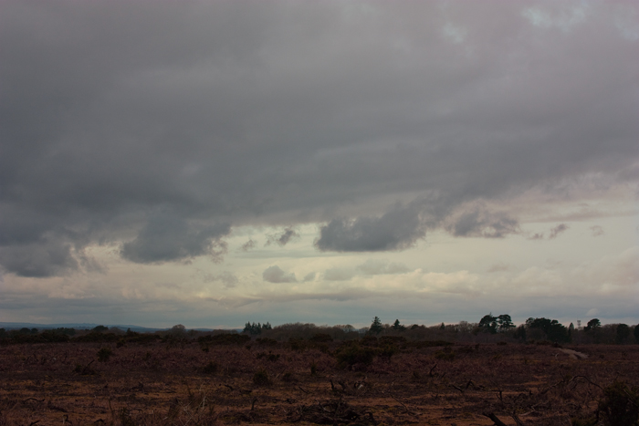 The rain is cometh! The New Forest, looking particularly bleak.